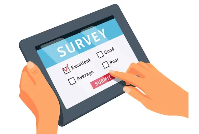 Online Surveys Earning While Sharing Opinions result